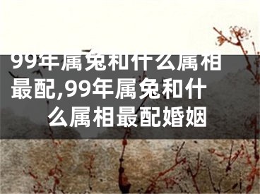 99年属兔和什么属相最配,99年属兔和什么属相最配婚姻