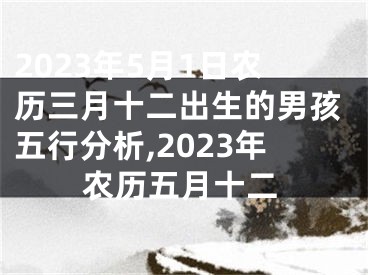 2023年5月1日农历三月十二出生的男孩五行分析,2023年农历五月十二