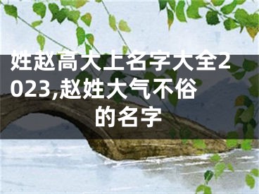 姓赵高大上名字大全2023,赵姓大气不俗的名字