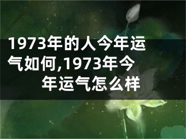 1973年的人今年运气如何,1973年今年运气怎么样