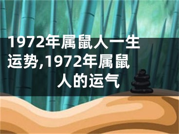 1972年属鼠人一生运势,1972年属鼠人的运气