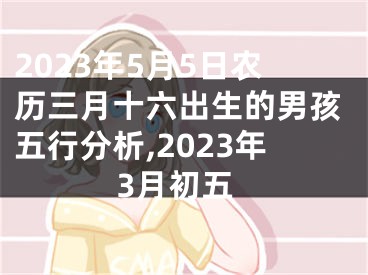 2023年5月5日农历三月十六出生的男孩五行分析,2023年3月初五