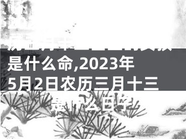 2023年5月2日农历三月十三出生的女孩是什么命,2023年5月2日农历三月十三是什么日子