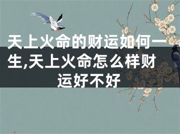 天上火命的财运如何一生,天上火命怎么样财运好不好