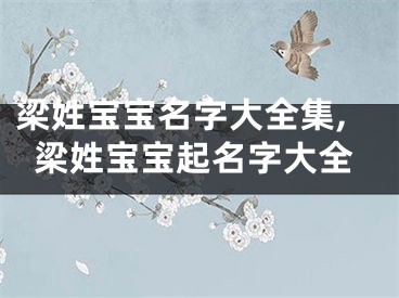 梁姓宝宝名字大全集,梁姓宝宝起名字大全