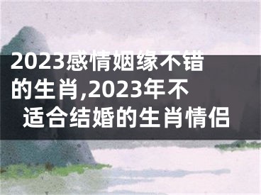 2023感情姻缘不错的生肖,2023年不适合结婚的生肖情侣