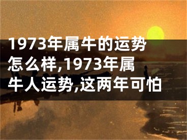 1973年属牛的运势怎么样,1973年属牛人运势,这两年可怕