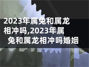 2023年属兔和属龙相冲吗,2023年属兔和属龙相冲吗婚姻