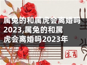 属兔的和属虎会离婚吗2023,属兔的和属虎会离婚吗2023年