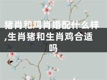 猪肖和鸡肖婚配什么样,生肖猪和生肖鸡合适吗