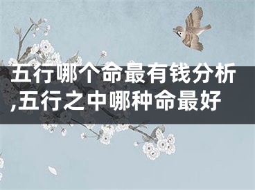 五行哪个命最有钱分析,五行之中哪种命最好