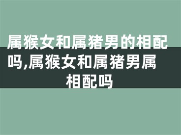 属猴女和属猪男的相配吗,属猴女和属猪男属相配吗