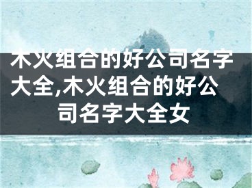 木火组合的好公司名字大全,木火组合的好公司名字大全女