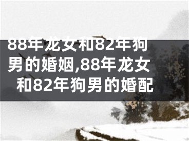 88年龙女和82年狗男的婚姻,88年龙女和82年狗男的婚配