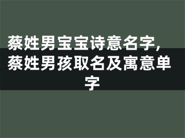 蔡姓男宝宝诗意名字,蔡姓男孩取名及寓意单字