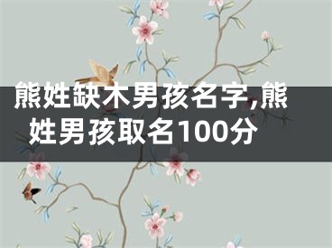 熊姓缺木男孩名字,熊姓男孩取名100分