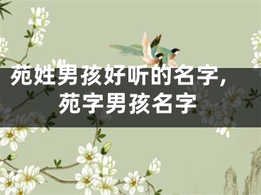 苑姓男孩好听的名字,苑字男孩名字