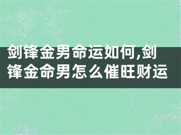 剑锋金男命运如何,剑锋金命男怎么催旺财运