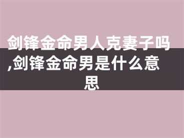 剑锋金命男人克妻子吗,剑锋金命男是什么意思