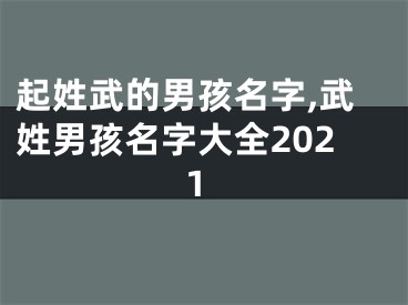 起姓武的男孩名字,武姓男孩名字大全2021