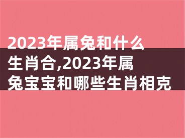 2023年属兔和什么生肖合,2023年属兔宝宝和哪些生肖相克