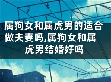 属狗女和属虎男的适合做夫妻吗,属狗女和属虎男结婚好吗