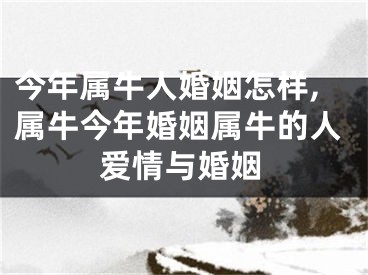 今年属牛人婚姻怎样,属牛今年婚姻属牛的人爱情与婚姻