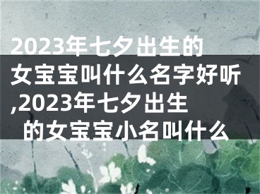 2023年七夕出生的女宝宝叫什么名字好听,2023年七夕出生的女宝宝小名叫什么