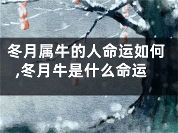 冬月属牛的人命运如何,冬月牛是什么命运