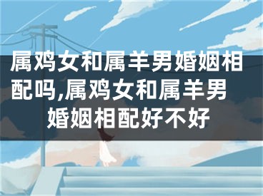 属鸡女和属羊男婚姻相配吗,属鸡女和属羊男婚姻相配好不好