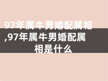 97年属牛男婚配属相,97年属牛男婚配属相是什么