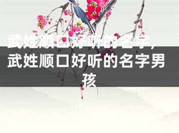 武姓顺口好听的名字,武姓顺口好听的名字男孩