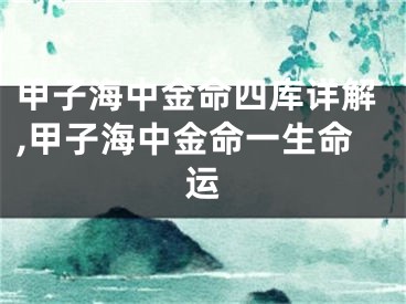 甲子海中金命四库详解,甲子海中金命一生命运