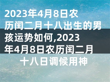 2023年4月8日农历闰二月十八出生的男孩运势如何,2023年4月8日农历闰二月十八日调候用神