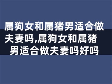 属狗女和属猪男适合做夫妻吗,属狗女和属猪男适合做夫妻吗好吗