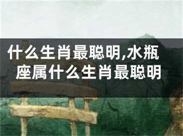 什么生肖最聪明,水瓶座属什么生肖最聪明