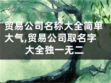 贸易公司名称大全简单大气,贸易公司取名字大全独一无二