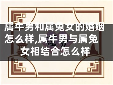 属牛男和属兔女的婚姻怎么样,属牛男与属兔女相结合怎么样