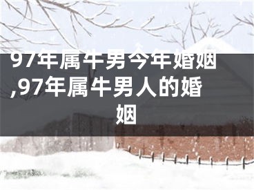 97年属牛男今年婚姻,97年属牛男人的婚姻