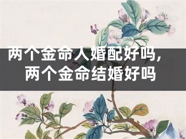 两个金命人婚配好吗,两个金命结婚好吗