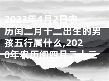 2023年4月2日农历闰二月十二出生的男孩五行属什么,2020年农历闰四月二十三