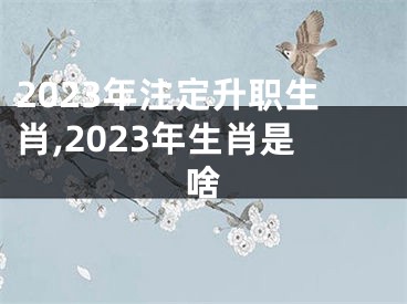 2023年注定升职生肖,2023年生肖是啥