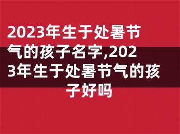 2023年生于处暑节气的孩子名字,2023年生于处暑节气的孩子好吗