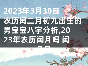 2023年3月30日农历闰二月初九出生的男宝宝八字分析,2023年农历闰月吗 闰几月