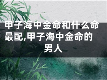 甲子海中金命和什么命最配,甲子海中金命的男人