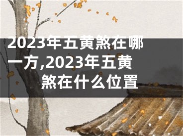 2023年五黄煞在哪一方,2023年五黄煞在什么位置