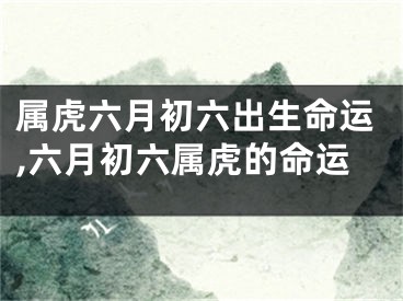 属虎六月初六出生命运,六月初六属虎的命运