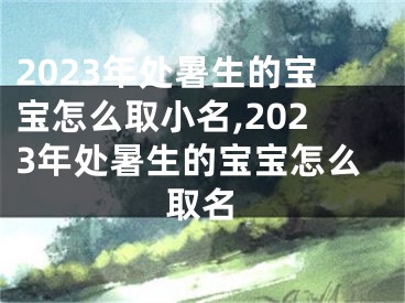 2023年处暑生的宝宝怎么取小名,2023年处暑生的宝宝怎么取名