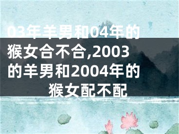 03年羊男和04年的猴女合不合,2003的羊男和2004年的猴女配不配