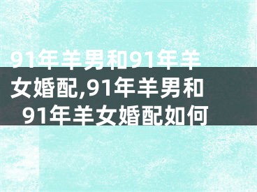 91年羊男和91年羊女婚配,91年羊男和91年羊女婚配如何